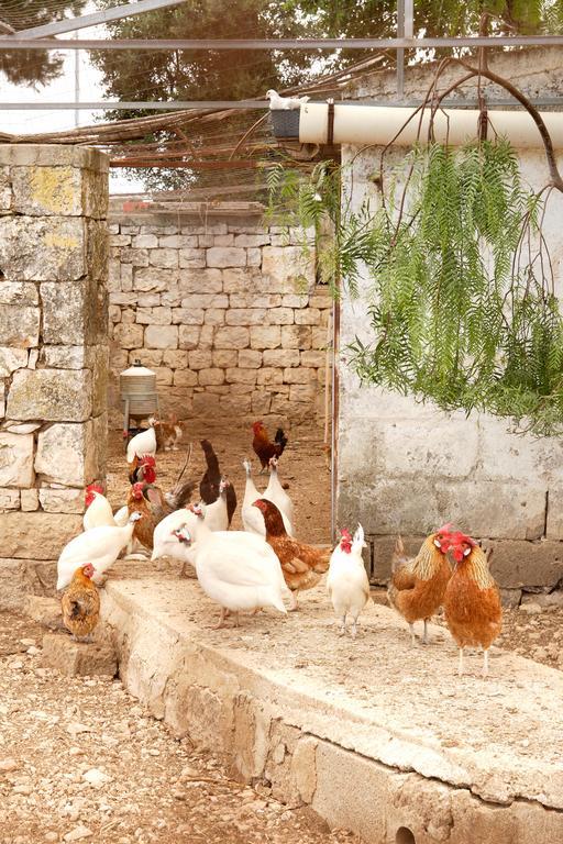Masseria Curatori Monopoli Luaran gambar