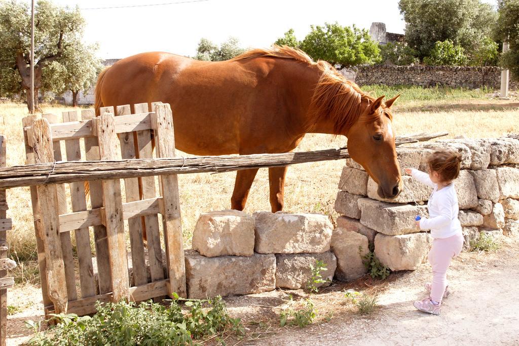 Masseria Curatori Monopoli Luaran gambar
